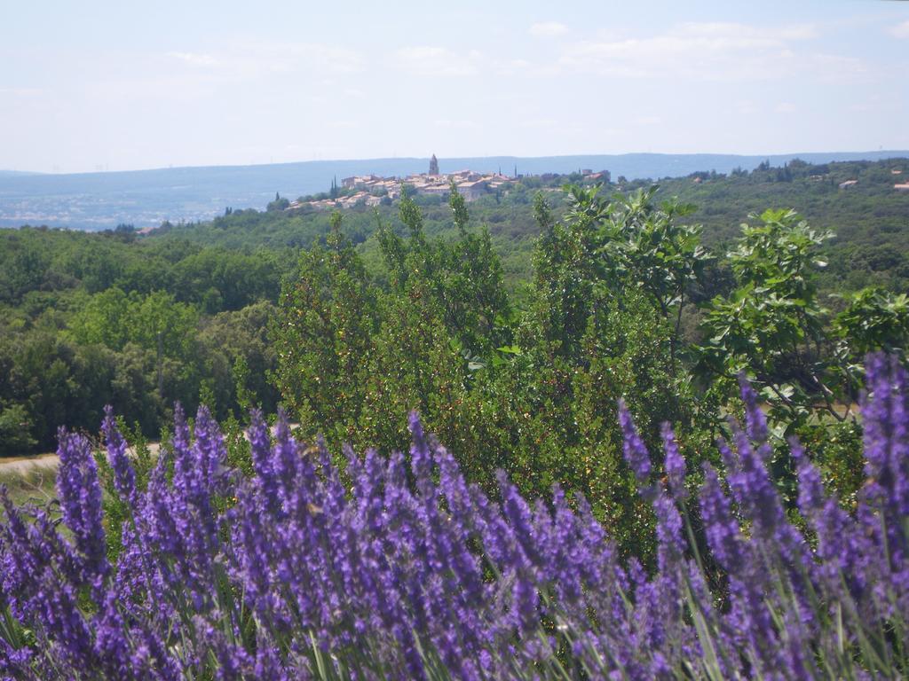 Bed and Breakfast Les Esplanes Ла-Гард-Адэмар Экстерьер фото